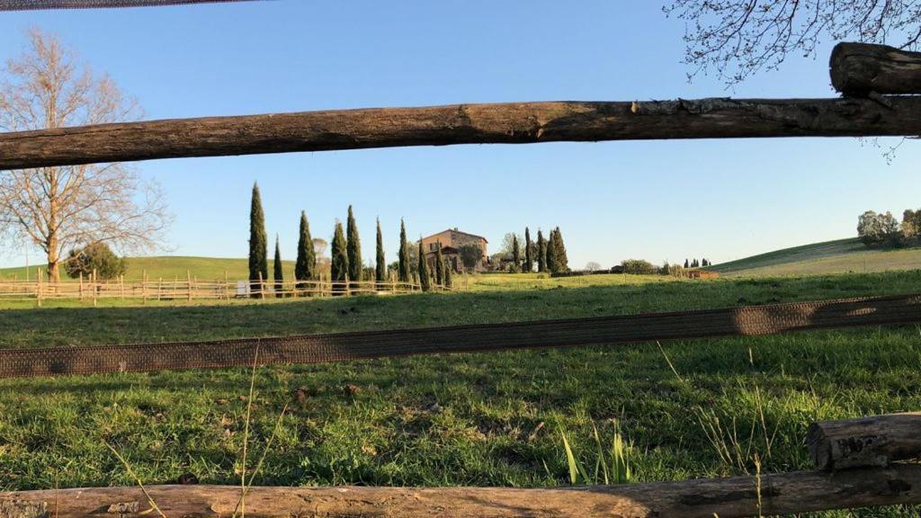 Bed And Breakfast Casale Del Sole カステッリーナ・マリッティマ エクステリア 写真