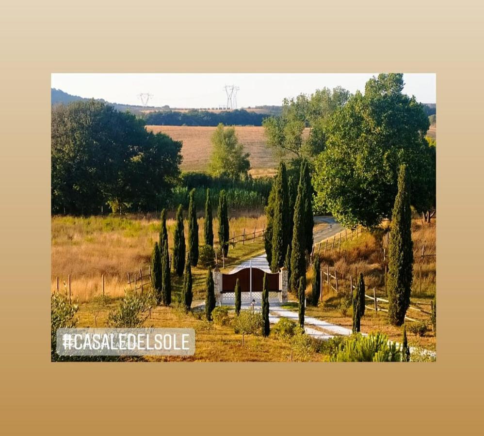 Bed And Breakfast Casale Del Sole カステッリーナ・マリッティマ エクステリア 写真