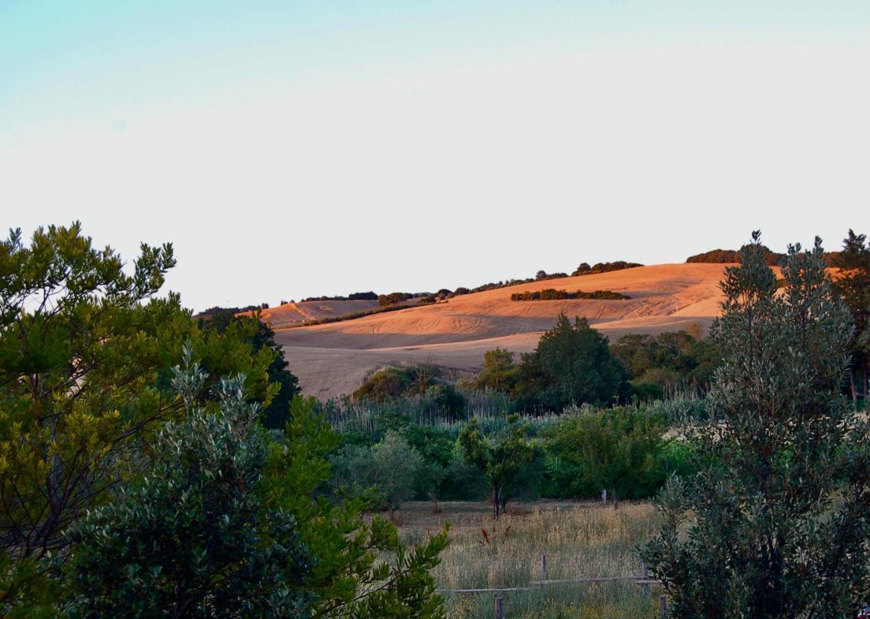 Bed And Breakfast Casale Del Sole カステッリーナ・マリッティマ エクステリア 写真