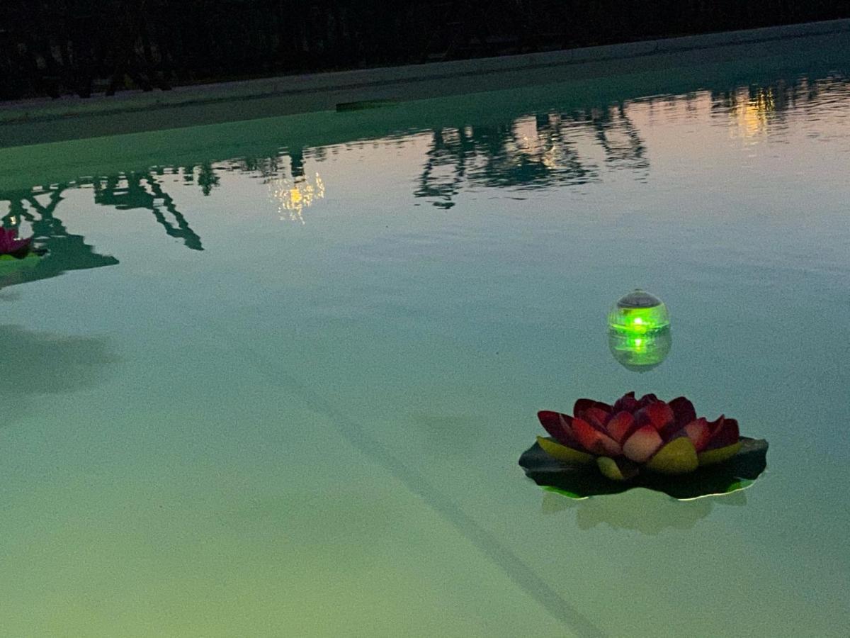 Bed And Breakfast Casale Del Sole カステッリーナ・マリッティマ エクステリア 写真