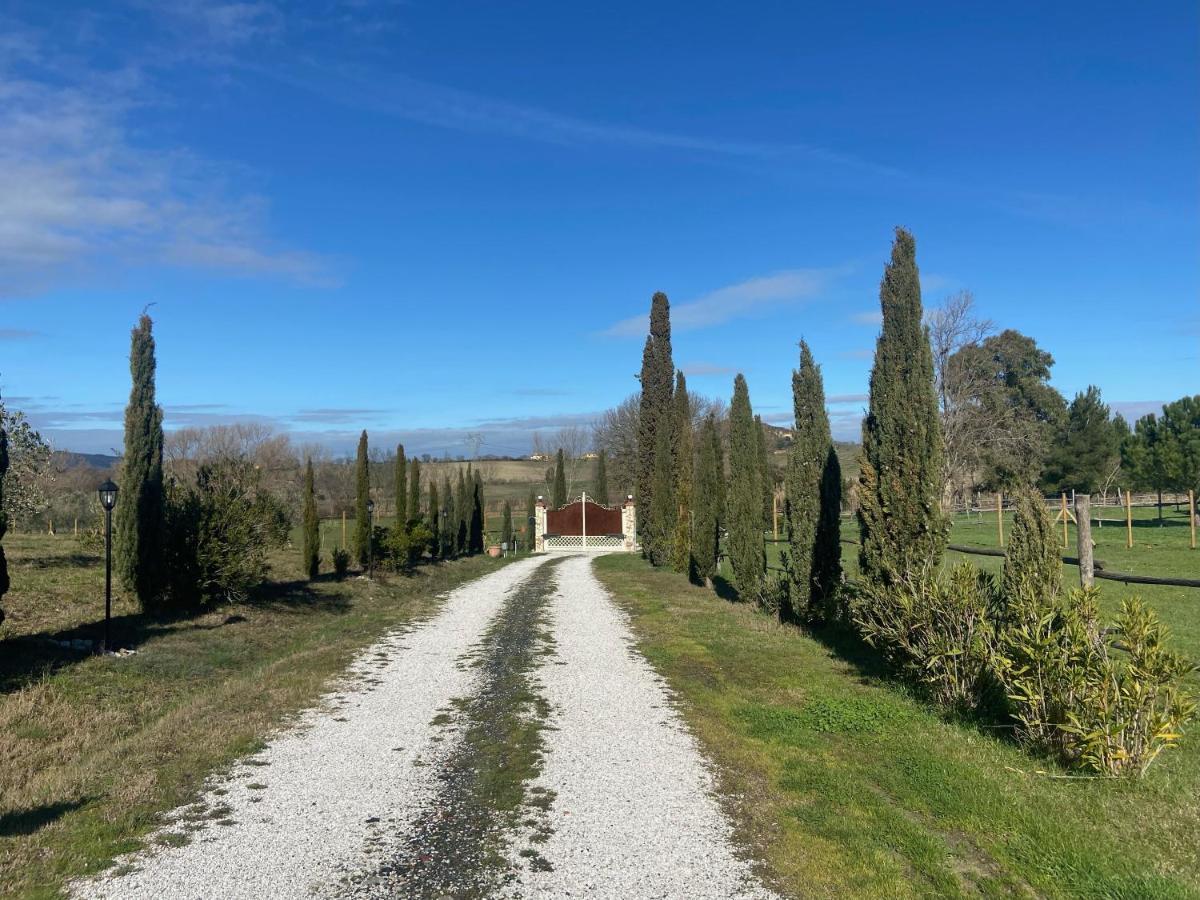 Bed And Breakfast Casale Del Sole カステッリーナ・マリッティマ エクステリア 写真