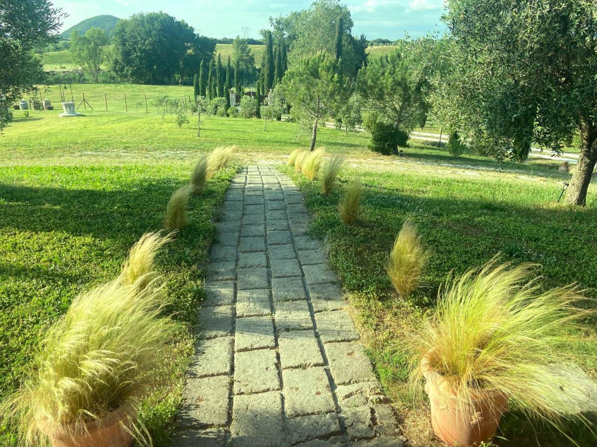Bed And Breakfast Casale Del Sole カステッリーナ・マリッティマ エクステリア 写真